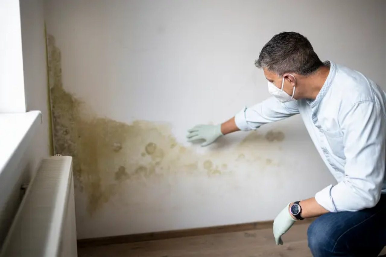 Mold and Moisture: The Hidden Problem in Most Homes
